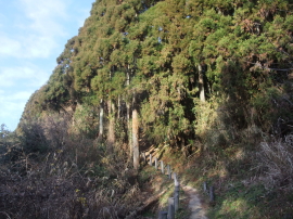Iyogatake hike 02