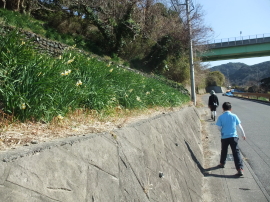 Suisen Road