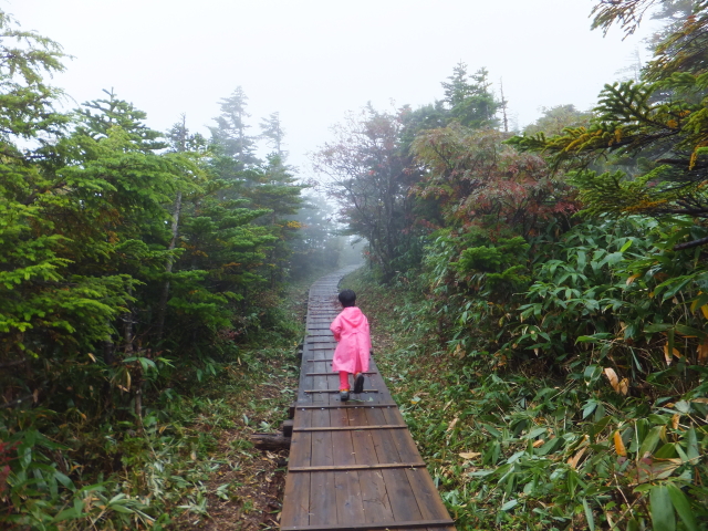 Wooden path to Mt. Kusatsu-shirane