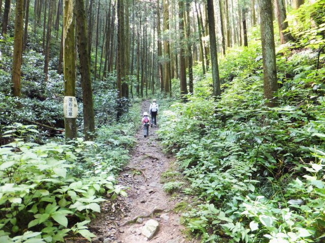 a mountain path to Kannokurayama