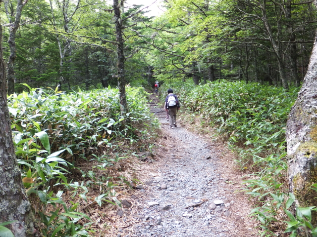 a path to Mt. Tateshina