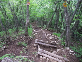 This part of the trail was suffering from neglect.