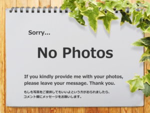 no photos