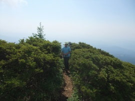mountain path of Mt. Akanagi
