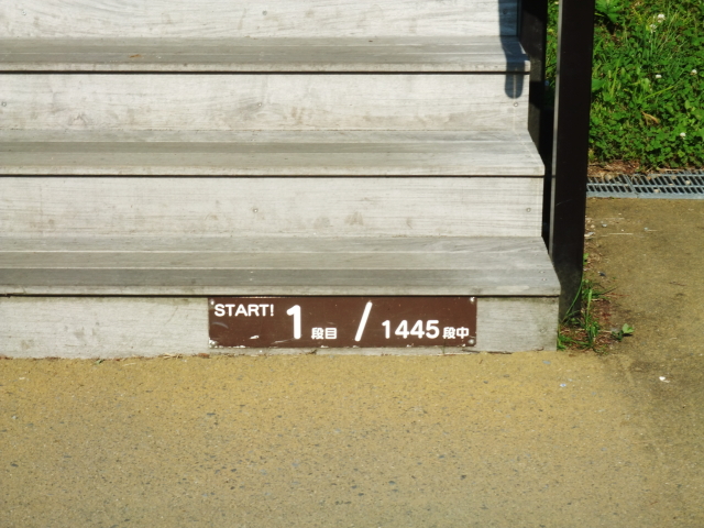 the 1st step of 1,445 steps