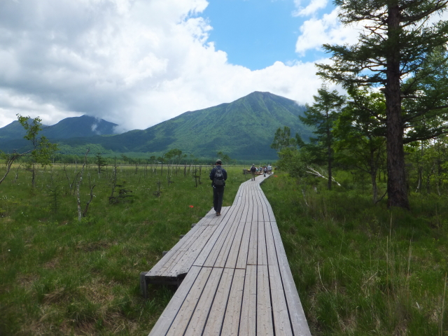 wooden path and Mt. Nantai