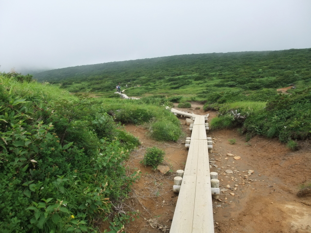 a wooden path - Mt. Nasu hike